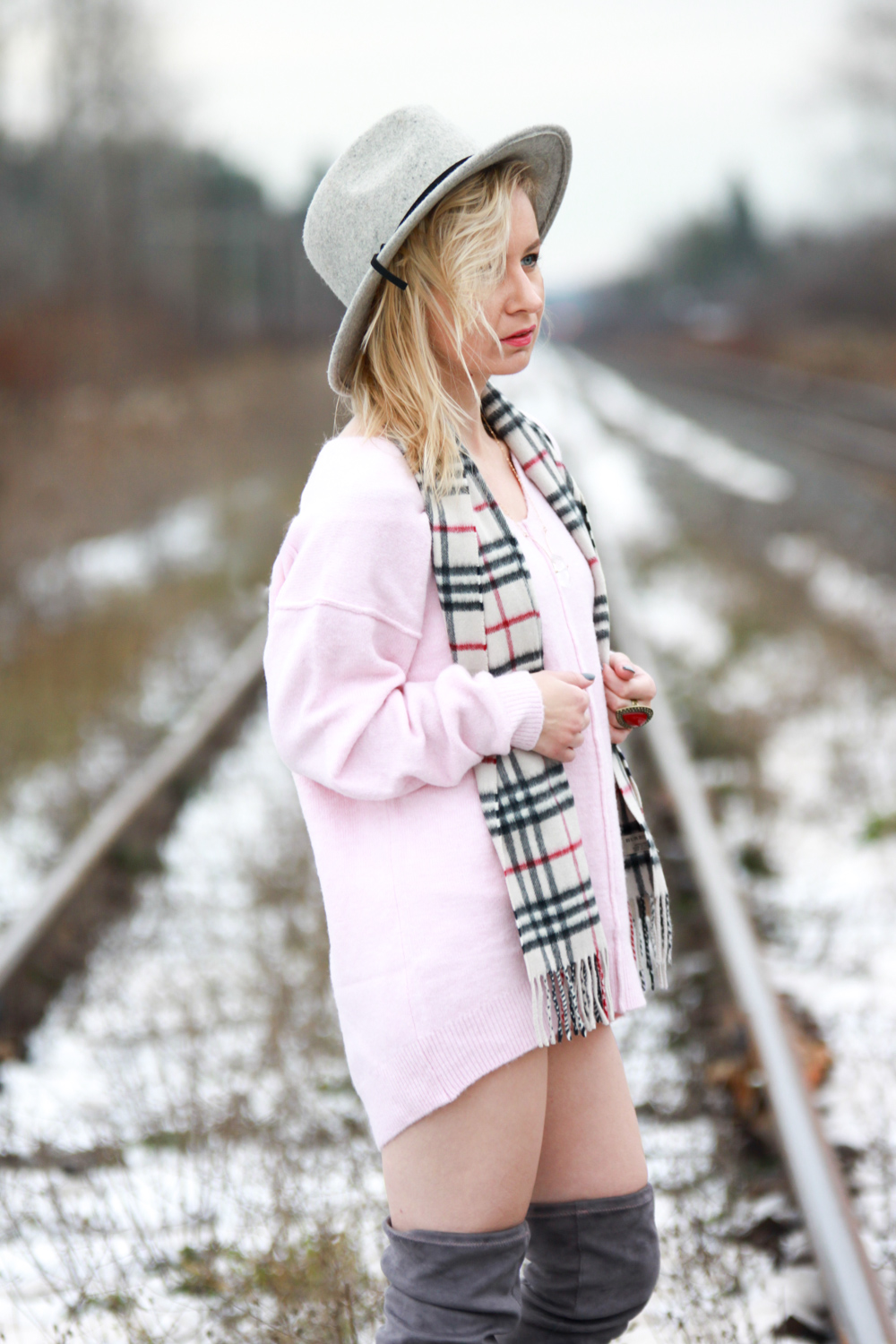 new world winter wanderer new world winter wanderer