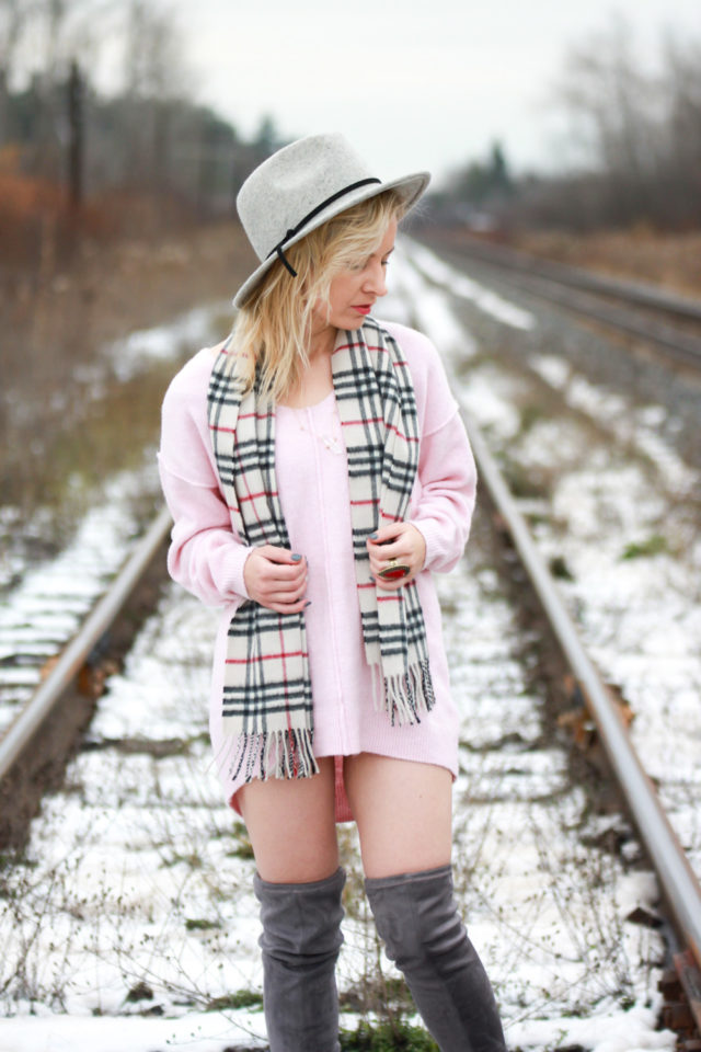 new world winter wanderer new world winter wanderer